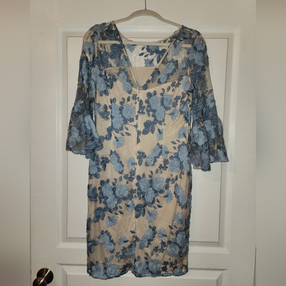 Dainty Adrianna Pappel embroidered dress
